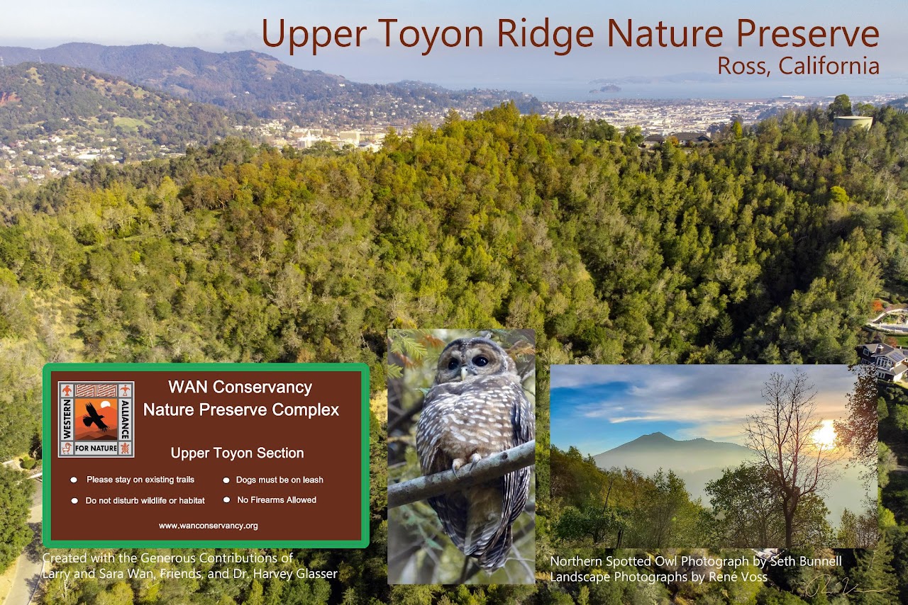 Upper Toyon Ridge Nature Preserve Ross California