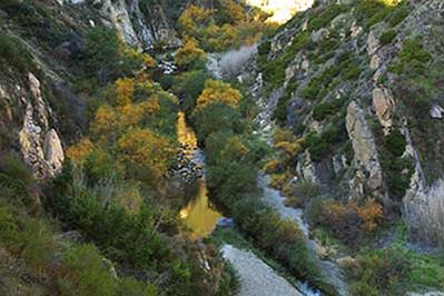 Caifornia coastal canyon